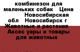 комбинезон для маленьких собак › Цена ­ 250 - Новосибирская обл., Новосибирск г. Животные и растения » Аксесcуары и товары для животных   